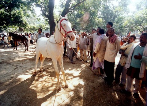 sonepur mela